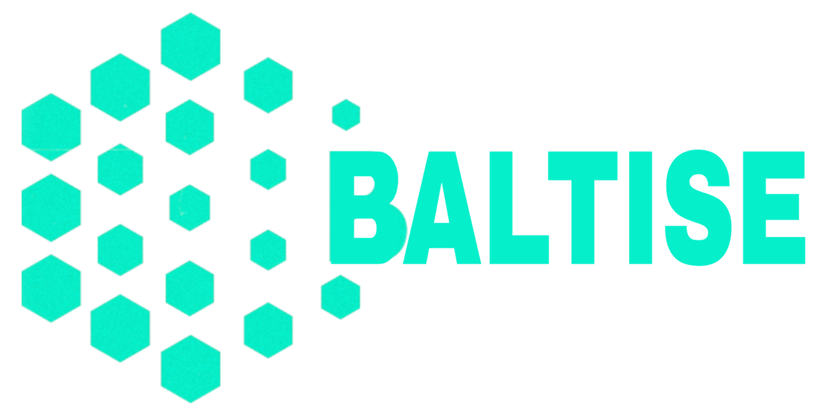 Baltise logo